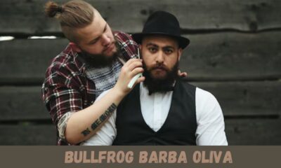 bullfrog barba oliva